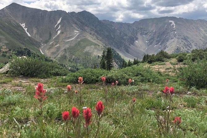 Breckenridge Ultimate Full Day Mountain Tour from Denver - Loveland Pass reaches the highest point of the day