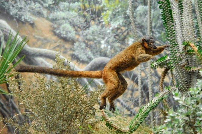 Bronx Zoo Admission Ticket - Key things to know before you go