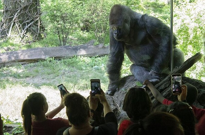 Bronx Zoo Admission Ticket - Food, bathrooms, and practical comfort
