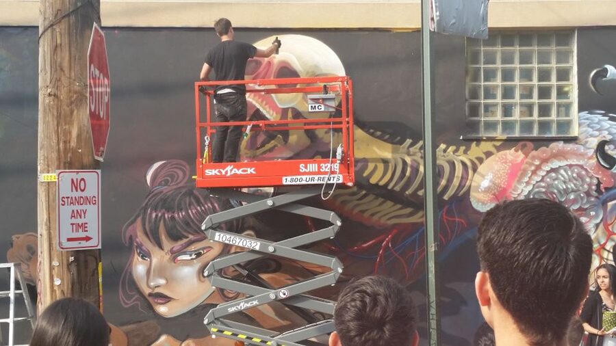 Brooklyn: Bushwick Street Art Walking Tour - The value of a $20 ticket