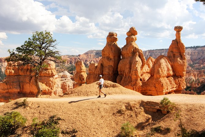 Bryce Canyon & Zion National Park from Las Vegas with Lunch, WiFi - Checkerboard Mesa offers a short, unusual stop
