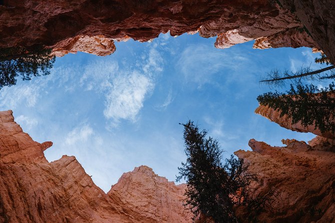 Bryce Canyon & Zion National Park from Las Vegas with Lunch, WiFi - Lunch keeps the schedule moving
