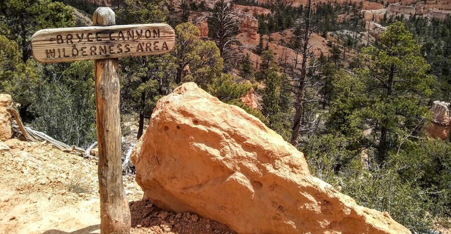Bryce: Guided Sightseeing Tour of Bryce Canyon National Park - Natural Bridge and the northern plateau view