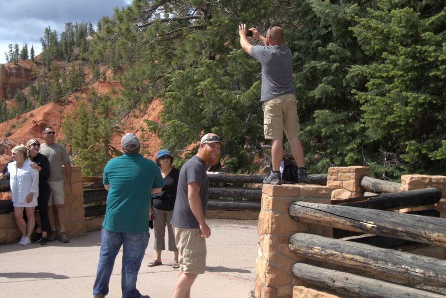 Bryce: Guided Sightseeing Tour of Bryce Canyon National Park - The Cathedral and conglomerate formations