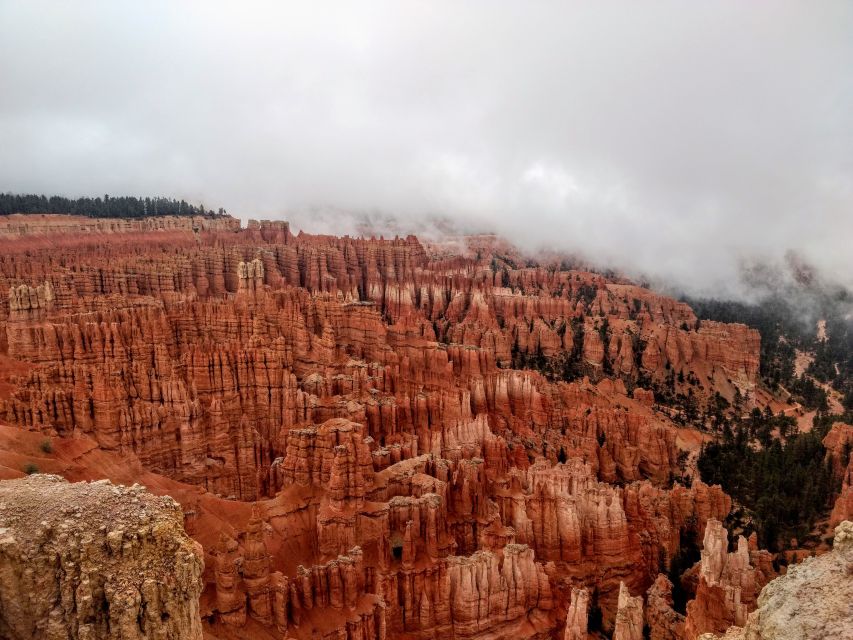 Bryce: Guided Sightseeing Tour of Bryce Canyon National Park - Wall Street, the Silent City, and Thor’s Hammer