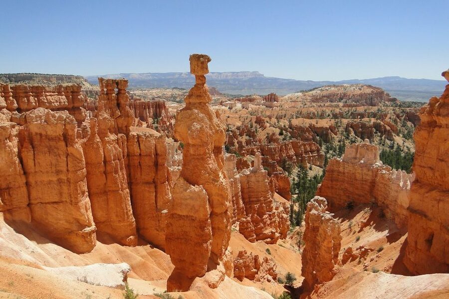 Bryce: Guided Sightseeing Tour of Bryce Canyon National Park - Fairyland Canyon and the bristlecone pine