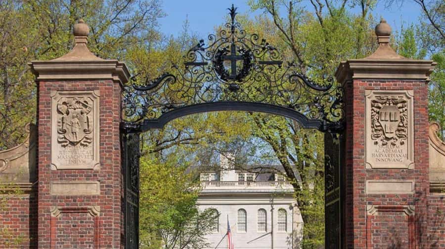 Cambridge, Massachusetts: MIT and Harvard Walking Tour - Key points to know before you book