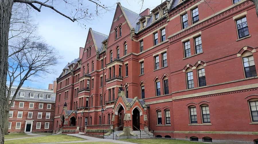 Cambridge, Massachusetts: MIT and Harvard Walking Tour - Why this Cambridge tour works so well