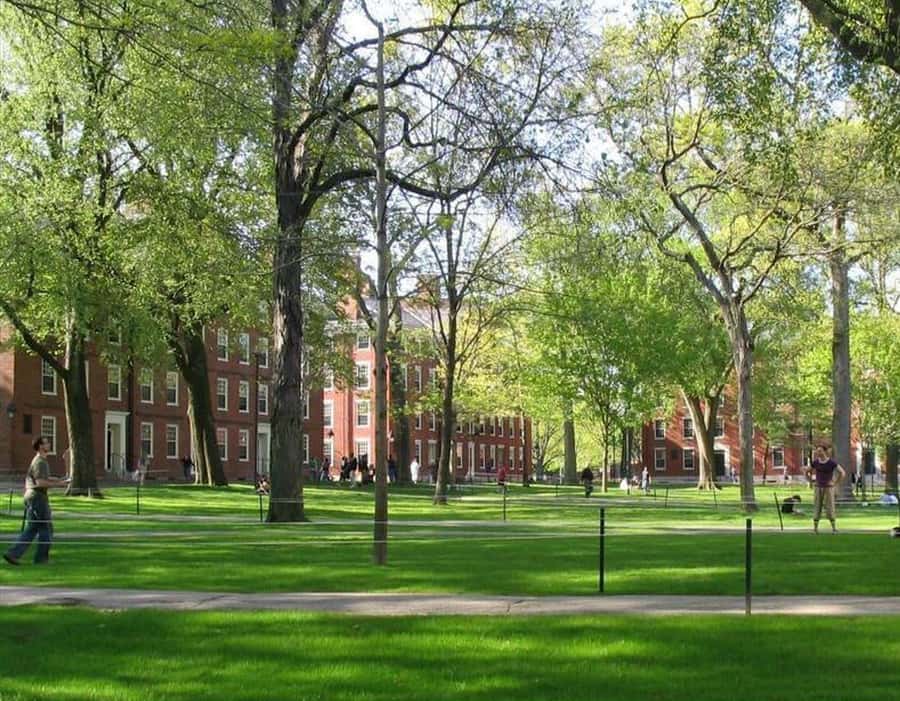 Cambridge, Massachusetts: MIT and Harvard Walking Tour - The guides make the difference