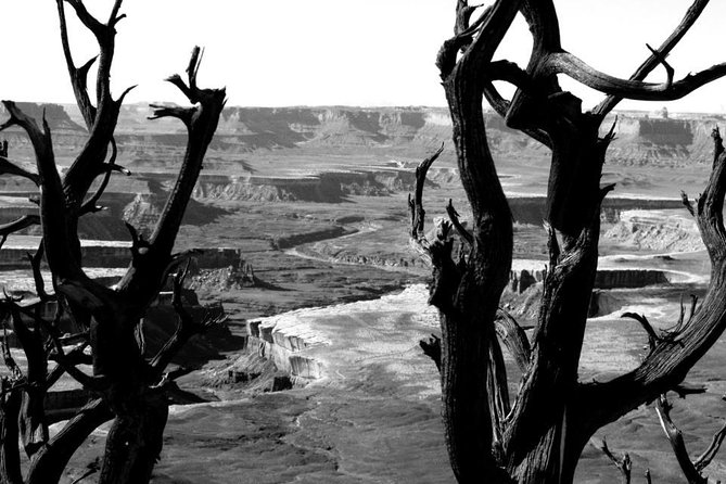 Canyonlands National Park Half-Day Tour from Moab - Shafer Trail: the thrilling part