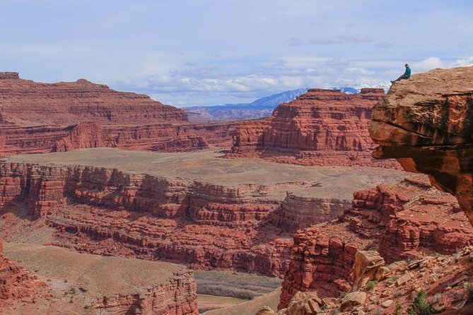 Canyonlands National Park Half-Day Tour from Moab - Price, park fees, and group size