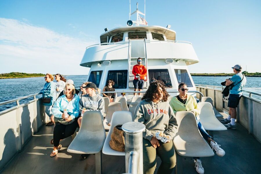 Cape May: Cape May Island Sunset Cruise & Dolphin Watching - Searching for bottlenose dolphins