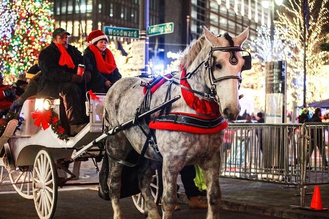 Carriage Ride in Central Park (VIP - PRIVATE) Since 1964™ - Starting at 200 Central Park South