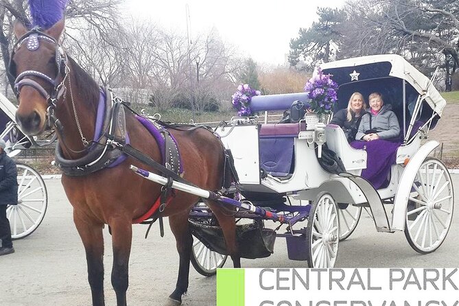 Carriage Ride in Central Park (VIP - PRIVATE) Since 1964™ - Bethesda Fountain and the Lake photo stop
