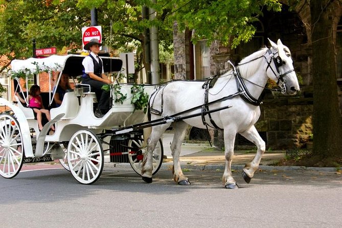 Carriage Ride in Central Park (VIP - PRIVATE) Since 1964™ - Wollman Rink, the Carousel, and the southern park