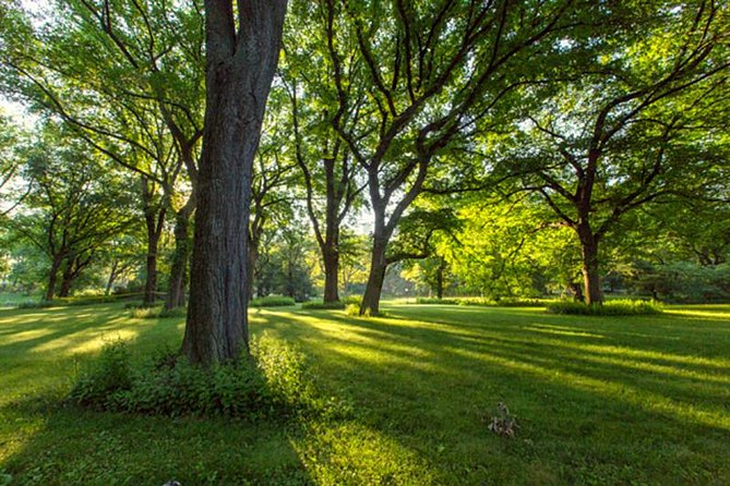 Central Park Guided Walking Tour - Central Park on film and in popular culture