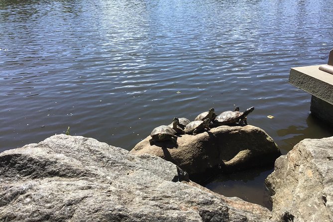 Central Park Guided Walking Tour - A small group makes a real difference