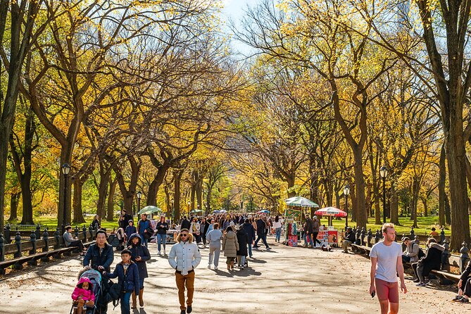 Central Park Private Pedicab Tour (60 mins) - Gapstow Bridge and the Pond