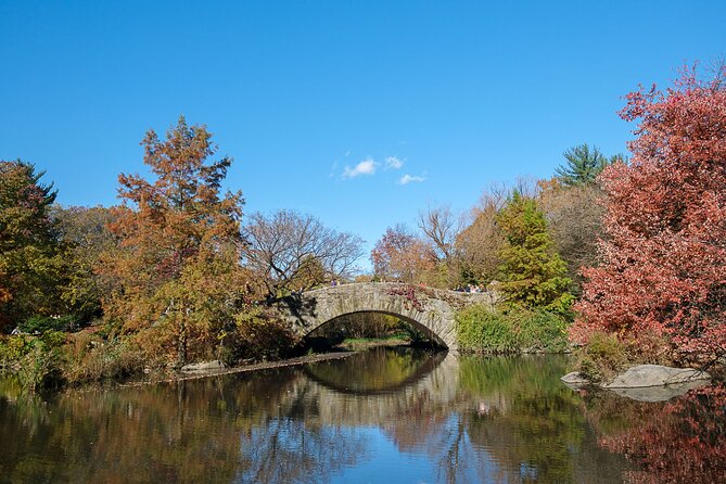Central Park Private Pedicab Tour (60 mins) - What the guide adds to the ride