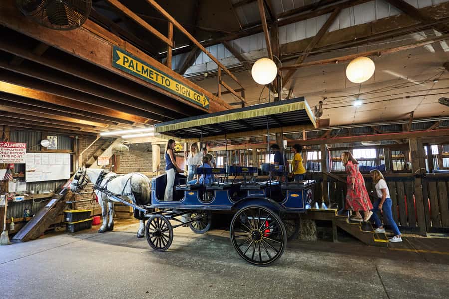 Charleston: Downtown Horse-Drawn Carriage Tour - A Gentle First Look at Charleston’s Old Downtown