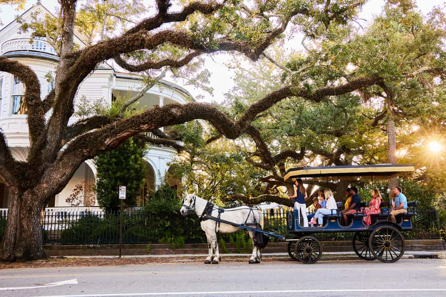 Charleston: Downtown Horse-Drawn Carriage Tour - What the One-Hour Route Can Show You