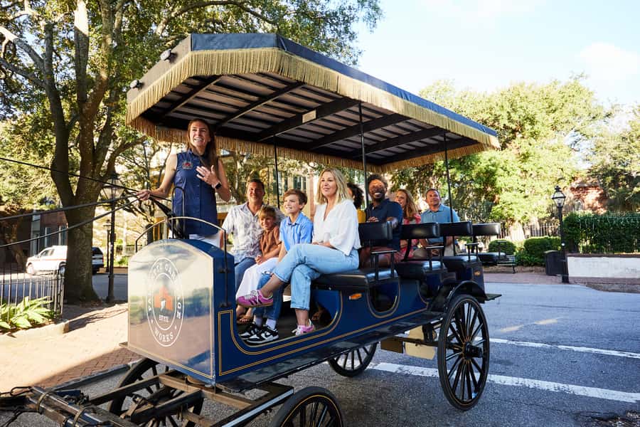 Charleston: Downtown Horse-Drawn Carriage Tour - Horse, Carriage, and Comfort Details