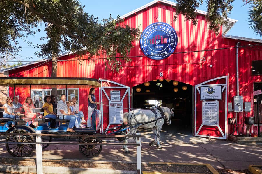 Charleston: Downtown Horse-Drawn Carriage Tour - Should You Book the Palmetto Carriage Ride?