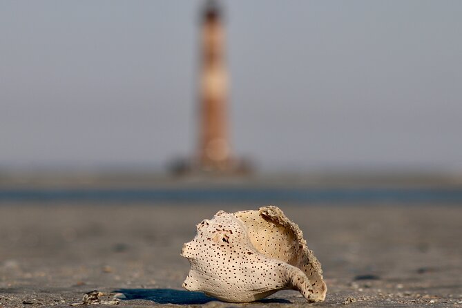 Charleston Eco Boat Cruise with stop at Morris Island Lighthouse - Who Will Enjoy This Charleston Boat Trip
