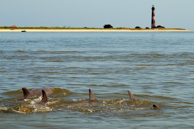 Charleston Eco Boat Cruise with stop at Morris Island Lighthouse - Booking and Preparation Tips