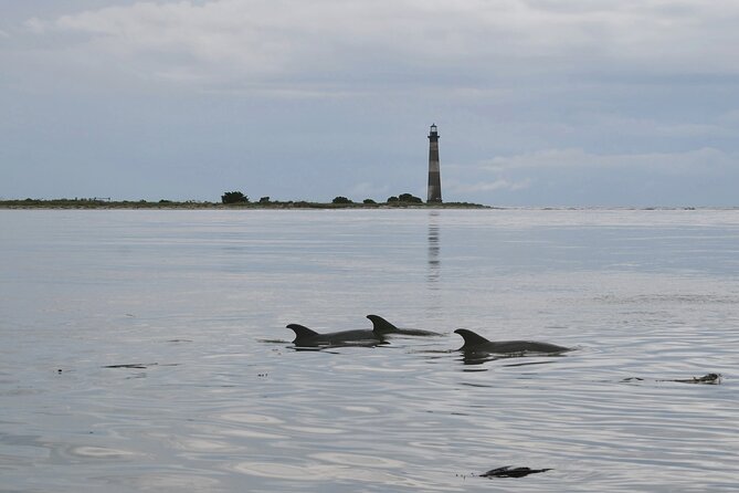 Charleston Eco Boat Cruise with stop at Morris Island Lighthouse - Through Tidal Creeks and Salt Marshes