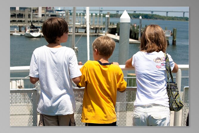Charleston Harbor History Day-Time or Sunset Boat Cruise - The Arthur Ravenel Jr. Bridge and harbor wildlife
