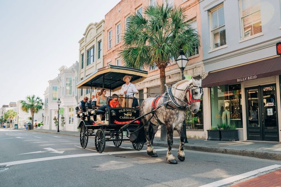 Charleston: Historical Downtown Tour by Horse-drawn Carriage - Key points at a glance