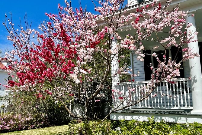 Charleston History Tour / - St. Michael’s Church and the city’s early religious life