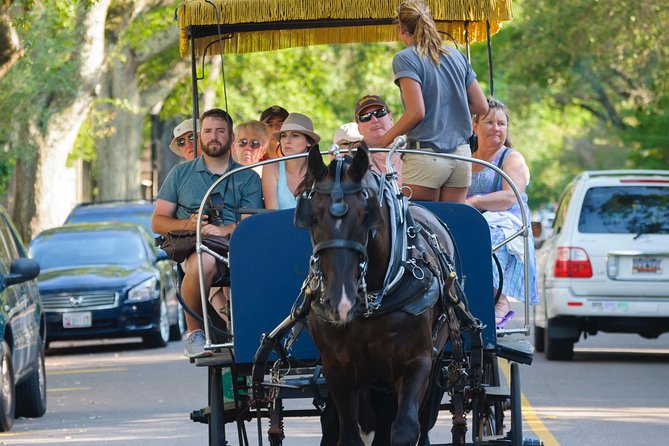 Charleston Horse & Carriage Historic Sightseeing Tour - Why a horse-drawn carriage is a smart first look at Charleston