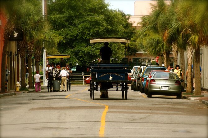 Charleston Horse & Carriage Historic Sightseeing Tour - Rainbow Row and Charleston’s colorful façades