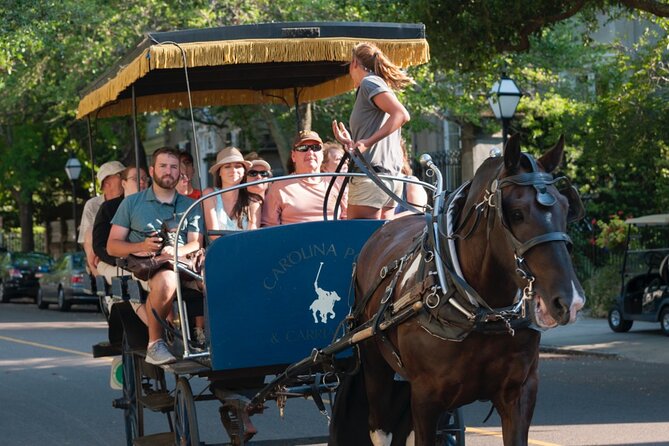 Charleston Horse & Carriage Historic Sightseeing Tour - St. Philip’s Church and Charleston’s church skyline