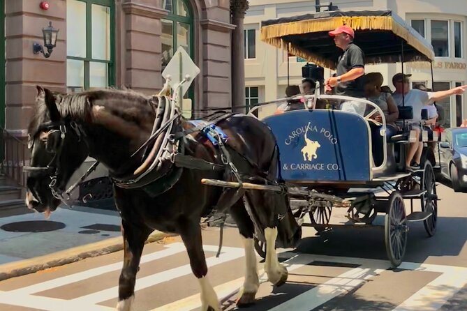 Charleston Horse & Carriage Historic Sightseeing Tour - The guide is the heart of the ride