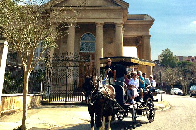 Charleston Horse & Carriage Historic Sightseeing Tour - Meeting the horses and judging the welfare question