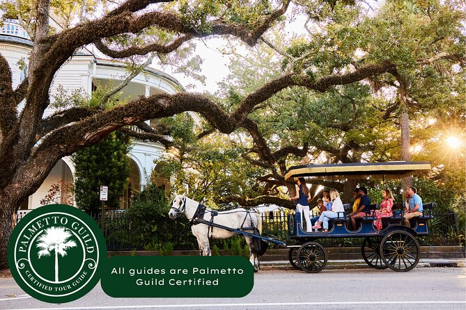 Charleston Horse-Drawn Carriage Tour: Explore Historic Charleston - Why this ride works as a first look at Charleston