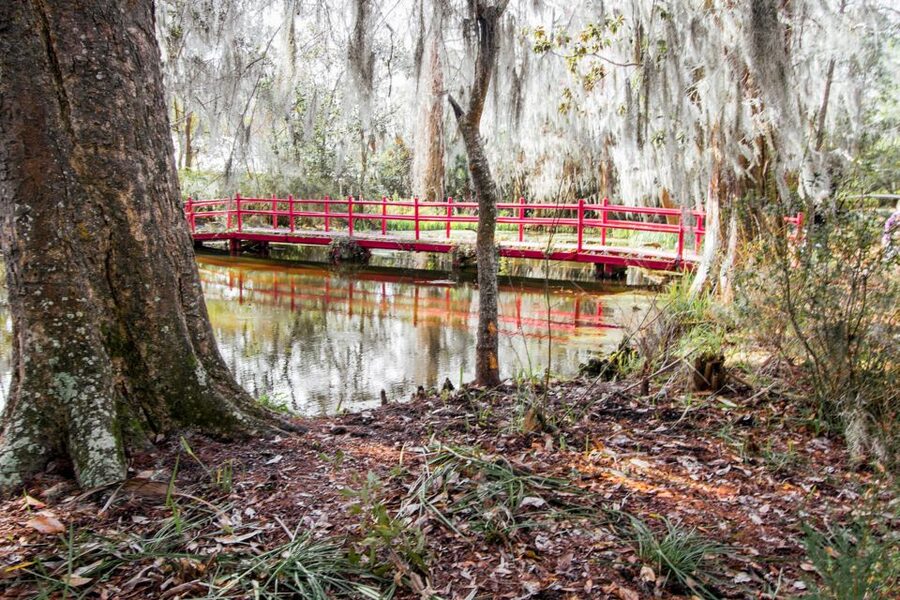 Charleston: Magnolia Plantation Entry & Tour with Transport - Who will enjoy this tour most