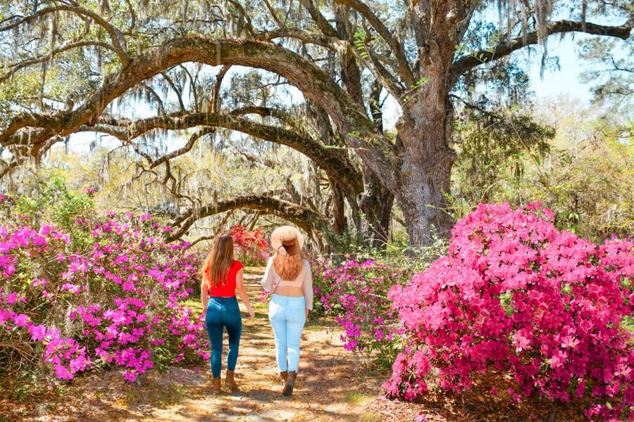 Charleston: Magnolia Plantation Entry & Tour with Transport - Walking the gardens at Magnolia Plantation