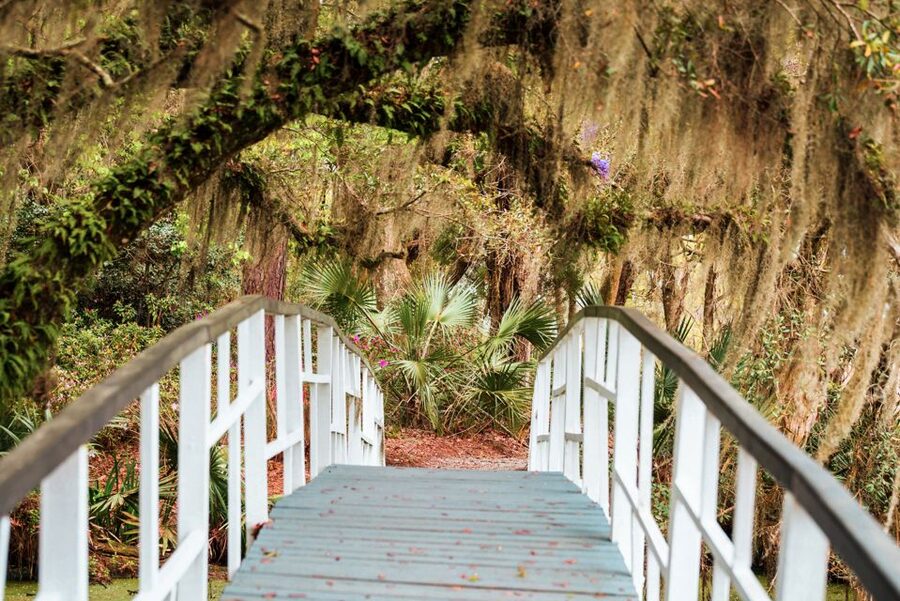 Charleston: Magnolia Plantation Entry & Tour with Transport - The ride from Charleston sets the tone