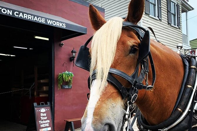 Charleston's Historic Residential Horse and Carriage Tour - Group size, seating, and family details