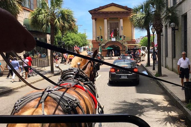 Charleston’s Old South Carriage Historic Horse & Carriage Tour - The horses are part of the experience