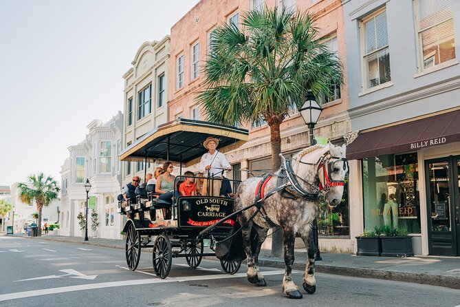 Charleston’s Old South Carriage Historic Horse & Carriage Tour - Comfort, weather, and the one-hour schedule