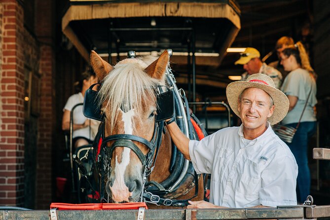 Charleston’s Old South Carriage Historic Horse & Carriage Tour - What you see from the carriage