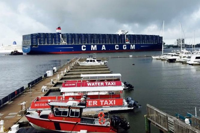 Charleston Water Taxi Cruise with Dolphin Sighting - Stop two: Aquarium Wharf and the city’s newer museums