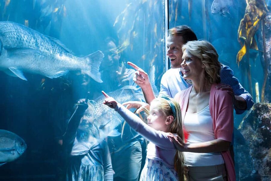 Chicago: 1-5 Day Attraction Pass with Shedd Aquarium - How the Chicago Pass Works