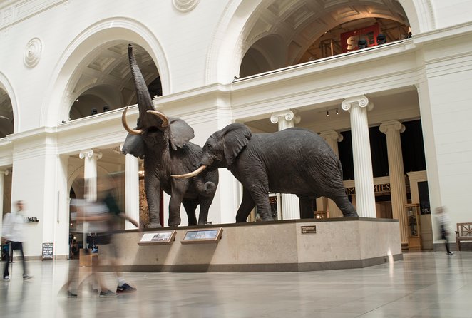 Chicago CityPASS® - Shedd Aquarium: the strongest family pick
