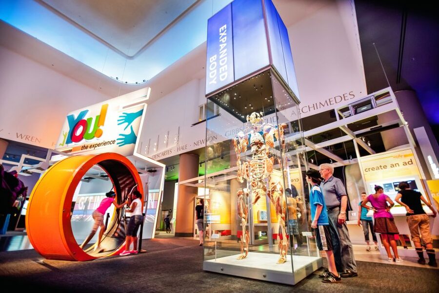 Chicago CityPASS®: Save up to 49% at 5 Top Attractions - Shedd Aquarium, Chicago’s family-friendly anchor
